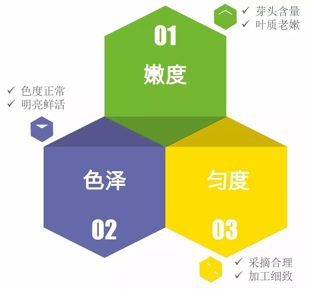 6136c9549eb84.jpg