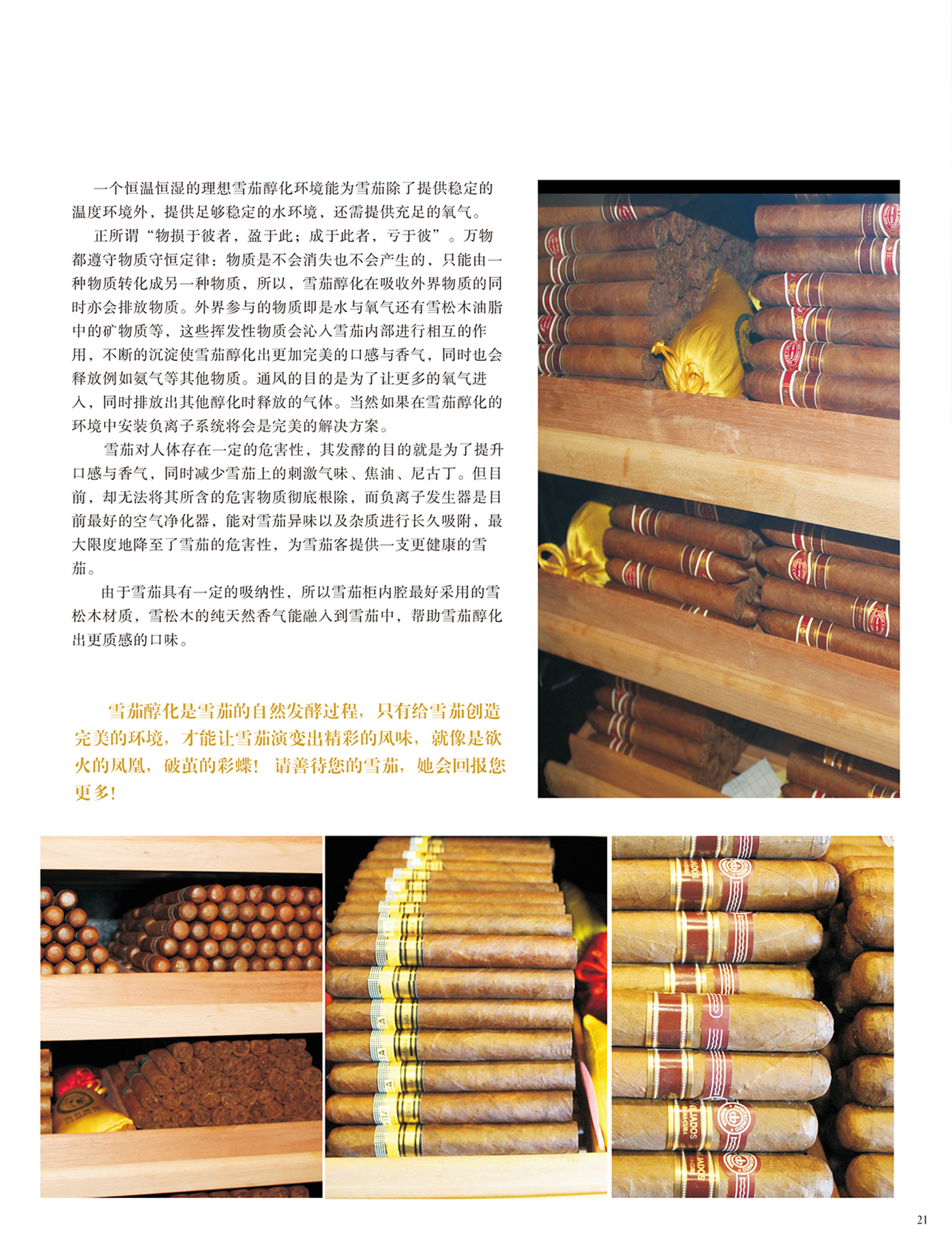 614401a00ffb6.jpg
